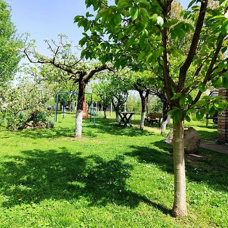 Kuca Za Odmor Mirni Kutak Vukovar Zewnętrze zdjęcie
