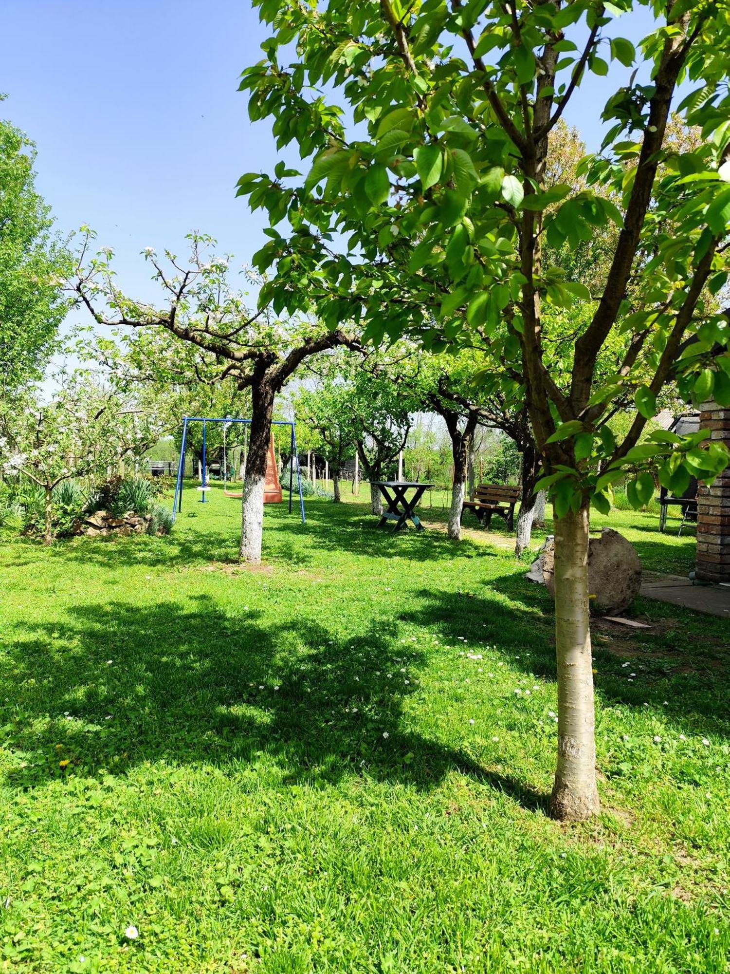 Kuca Za Odmor Mirni Kutak Vukovar Zewnętrze zdjęcie