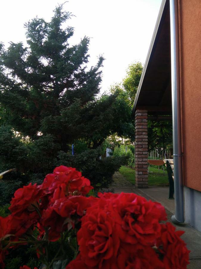 Kuca Za Odmor Mirni Kutak Vukovar Zewnętrze zdjęcie